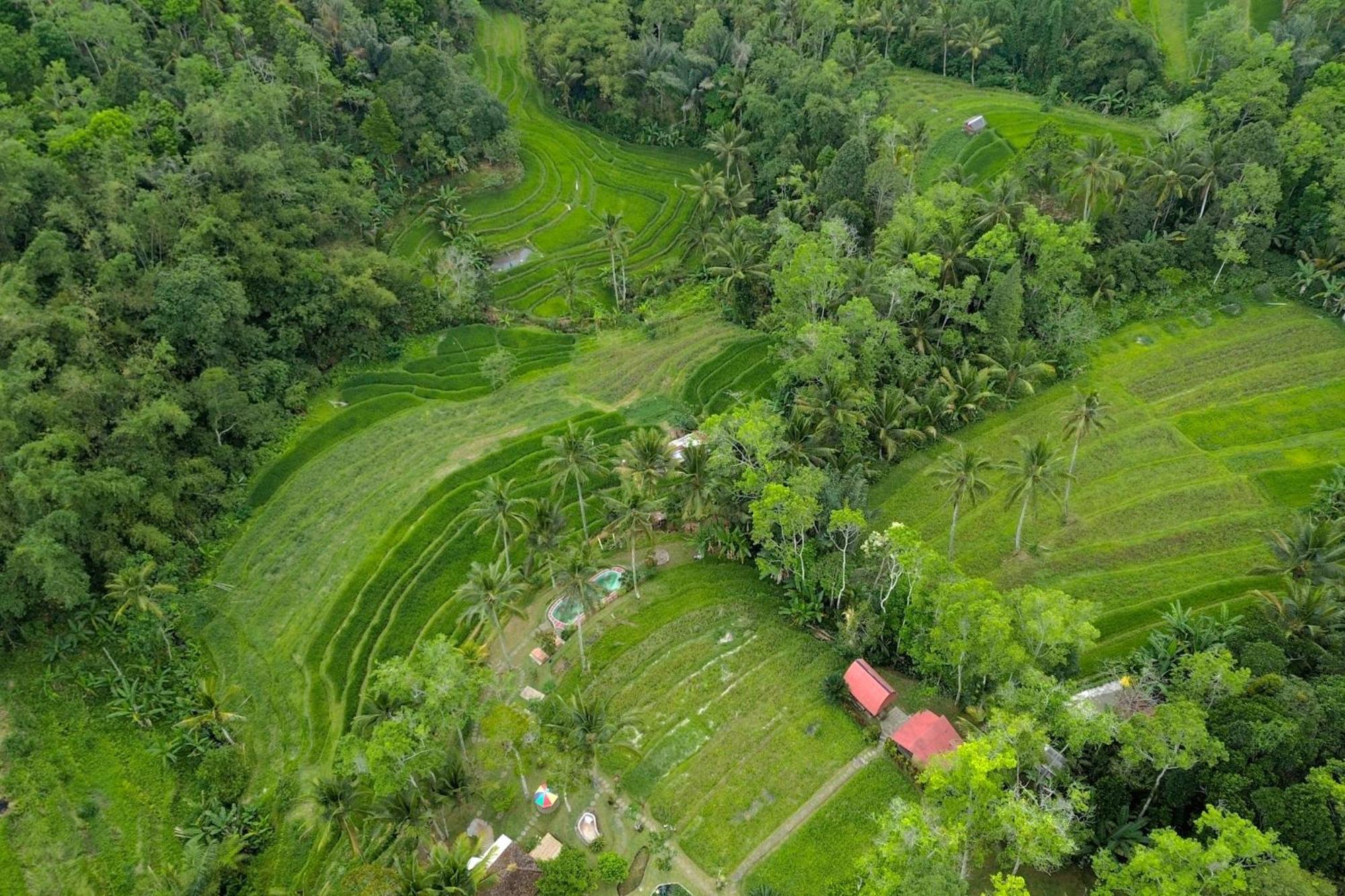 Pesona Bali Ecolodge By Agata Джатилувих Экстерьер фото