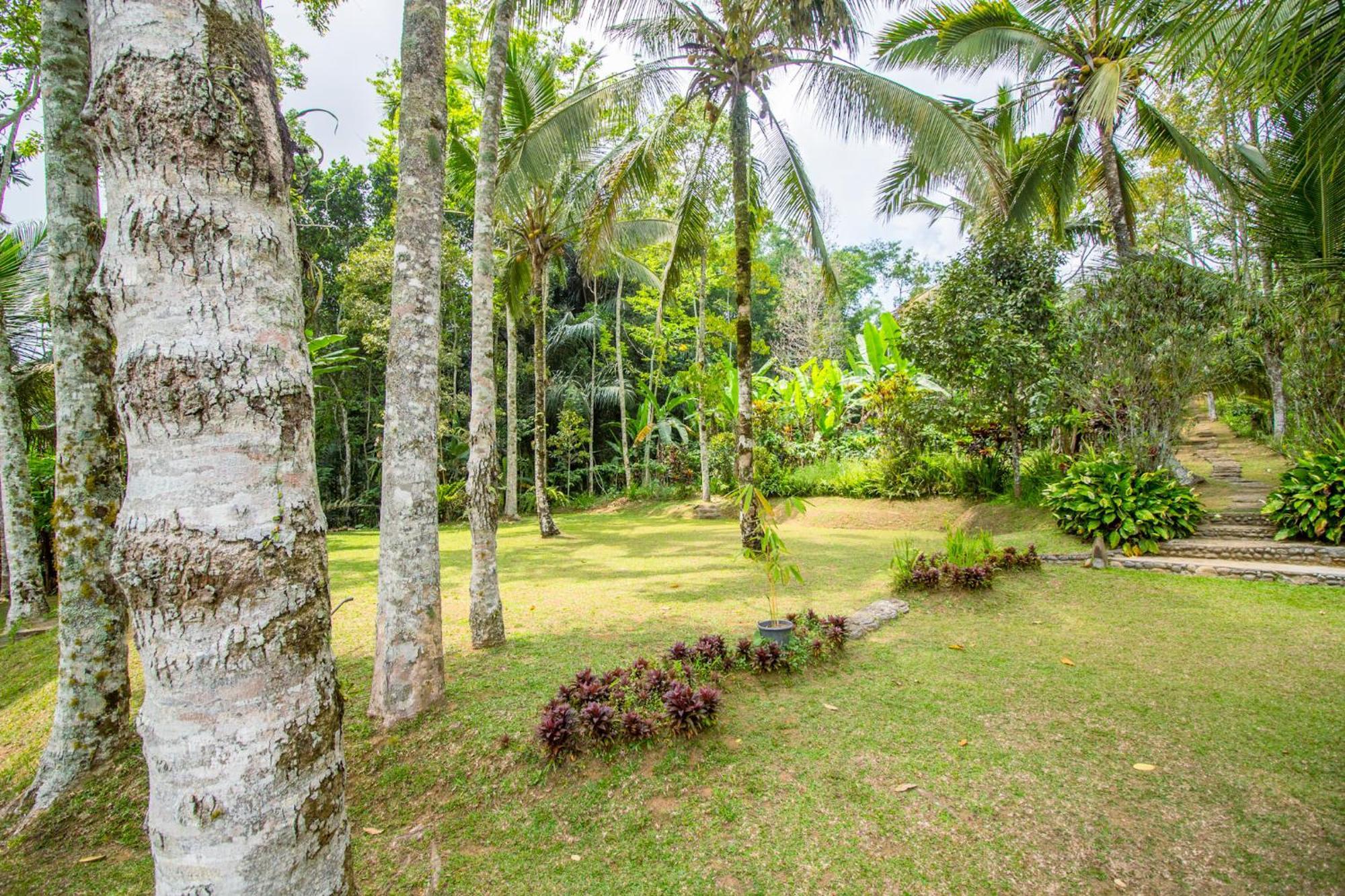 Pesona Bali Ecolodge By Agata Джатилувих Экстерьер фото