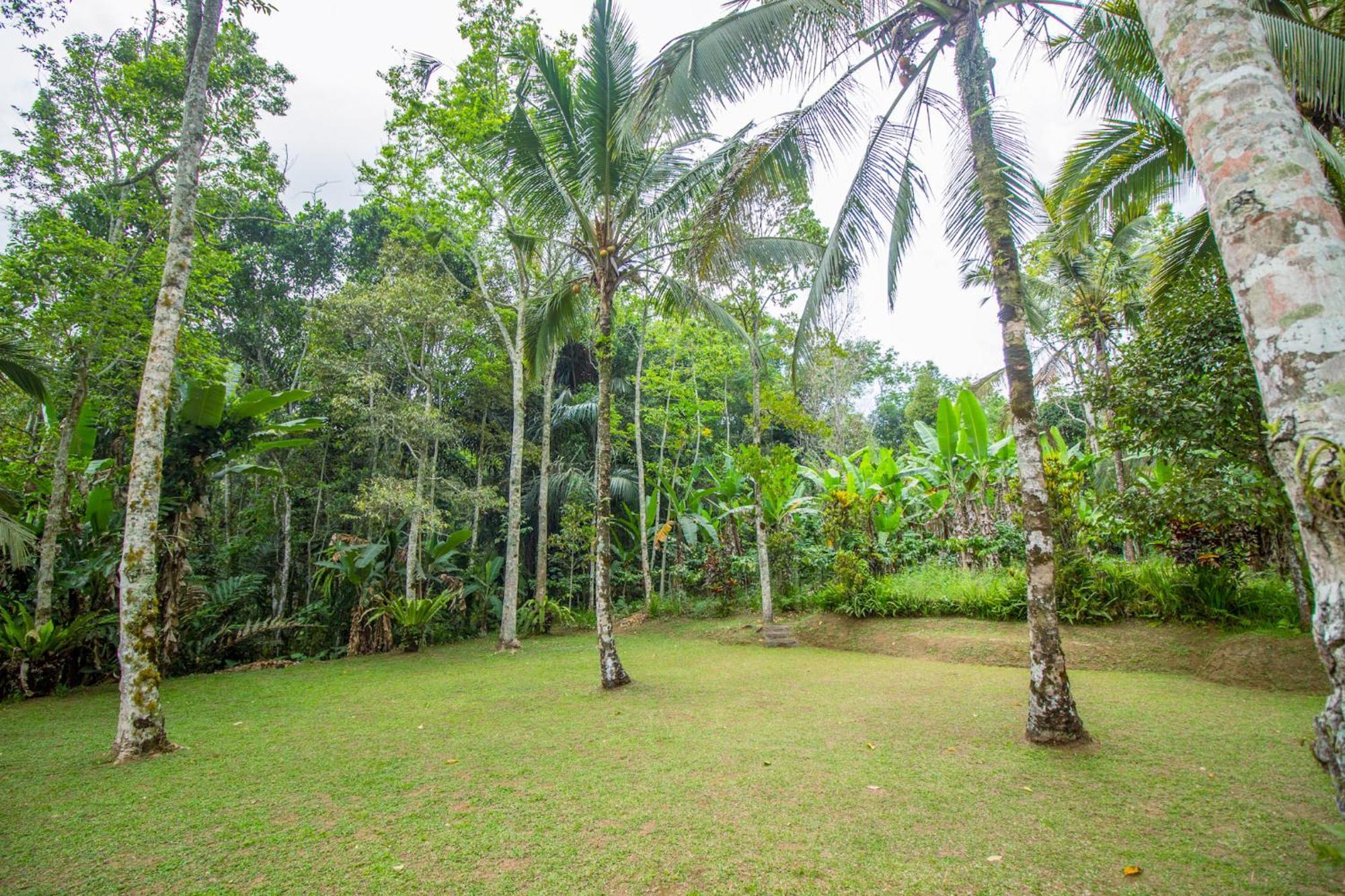 Pesona Bali Ecolodge By Agata Джатилувих Экстерьер фото